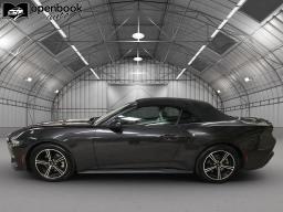 2024 Ford Mustang EcoBoost Premium Convertible 2D thumbnail 8