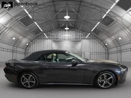 2024 Ford Mustang EcoBoost Premium Convertible 2D thumbnail 4
