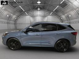 2023 Ford Escape ST-Line Elite Sport Utility 4D thumbnail 8