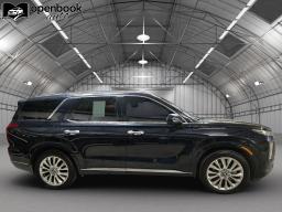 2020 Hyundai Palisade Limited Sport Utility 4D thumbnail 4