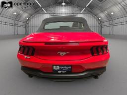 2024 Ford Mustang EcoBoost Premium Convertible 2D thumbnail 6